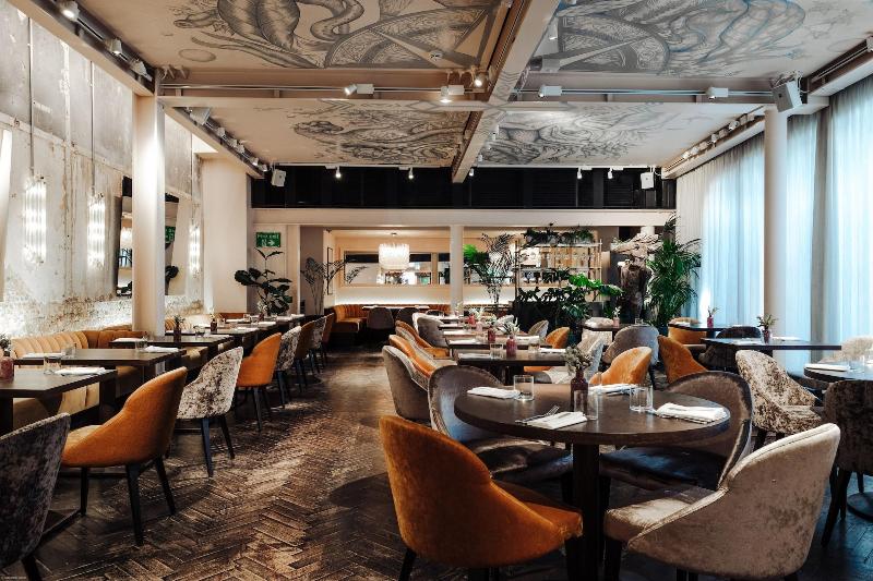 Fotos del hotel The Mandrake:  26