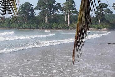 تختخواب و صبحانه Busua Inn