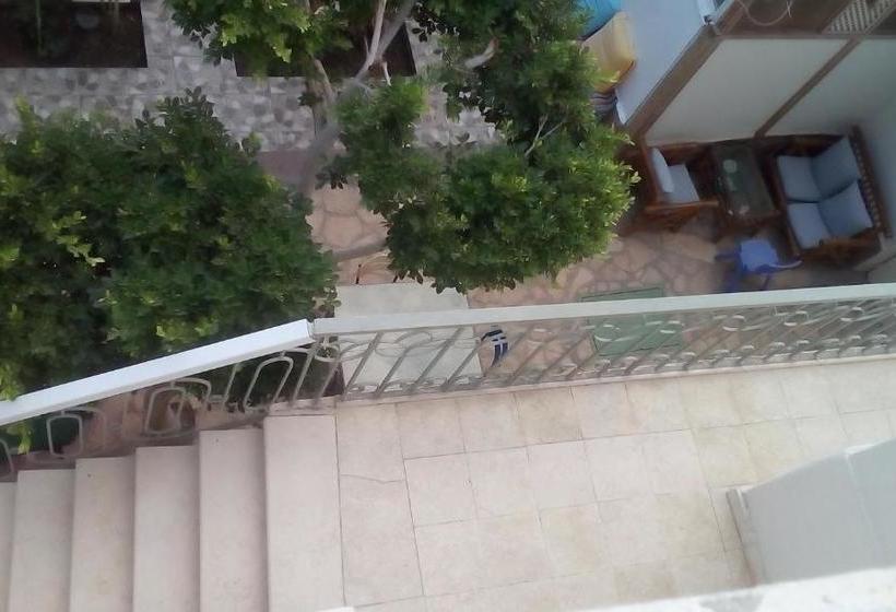 هاستل Tarbouche House Dahab