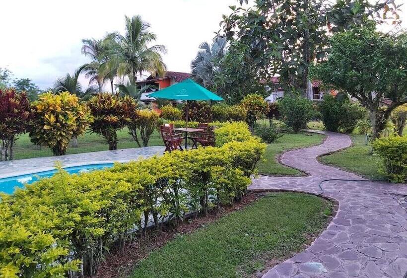 تختخواب و صبحانه Del Campo