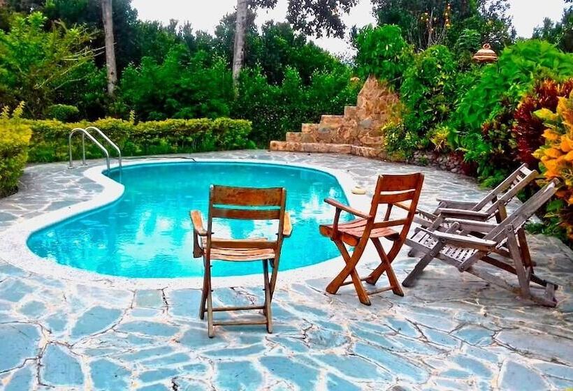 تختخواب و صبحانه Del Campo