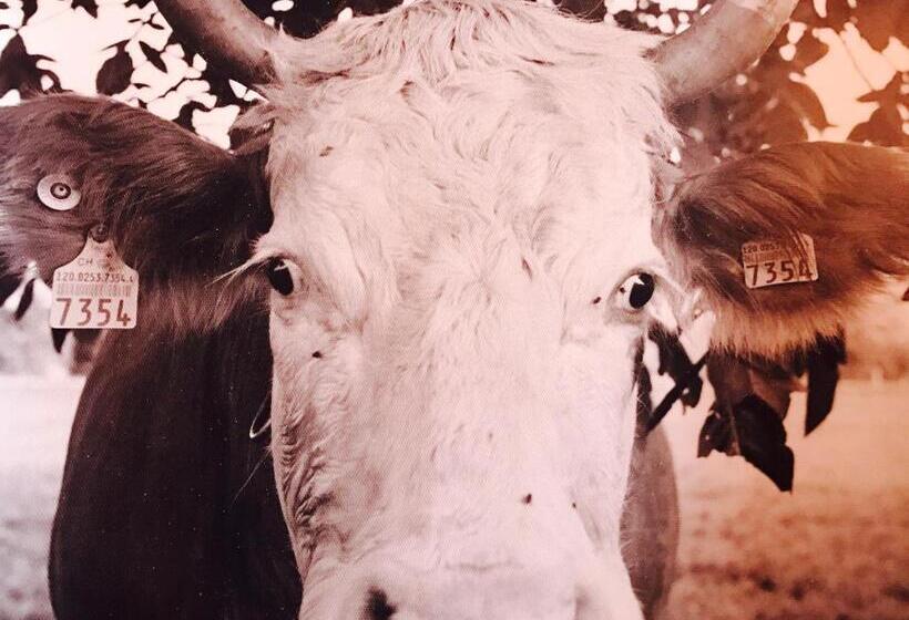 فندق Auberge De L Assesseur   Mont Soleil