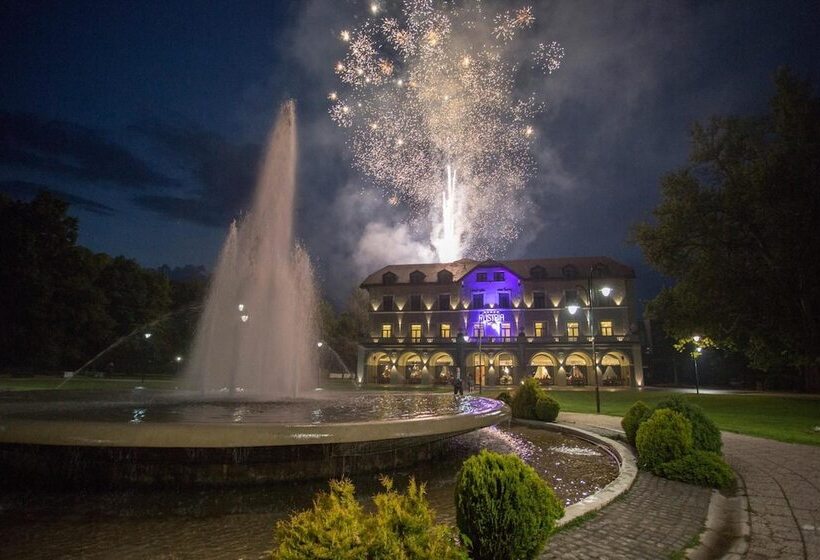 Fotos del hotel Austria & Bosna:  3