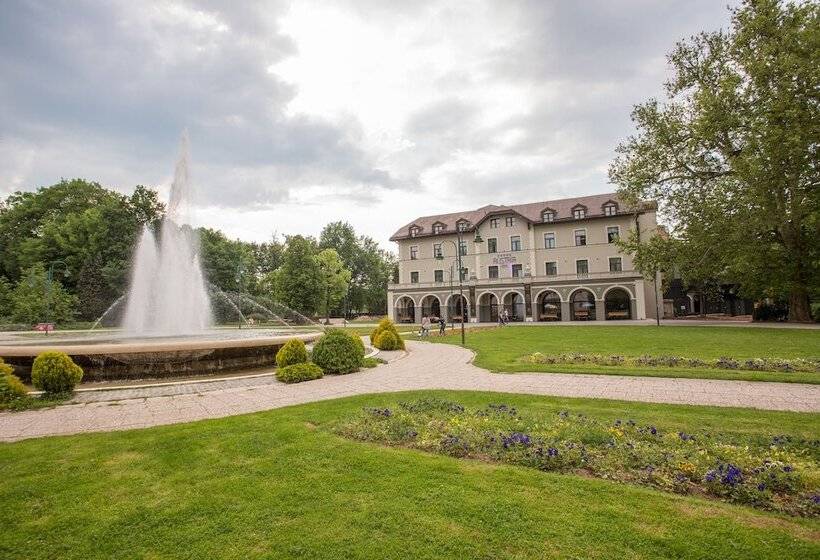 Fotos del hotel Austria & Bosna:  5