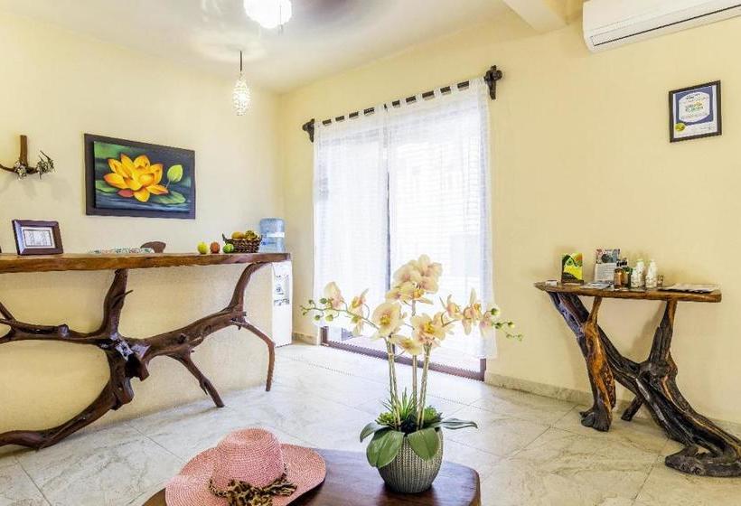 هتل Moon Dreams Villas El Jardin