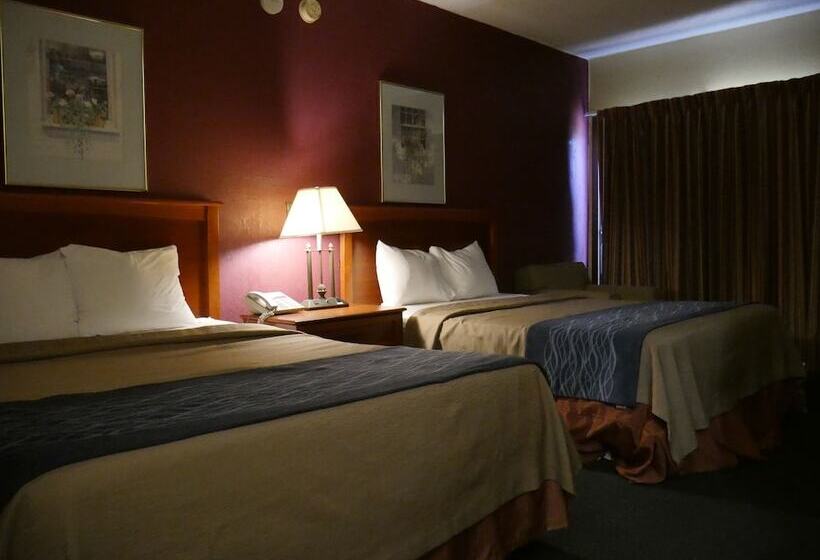 住宿加早餐  Motel Sun Inn