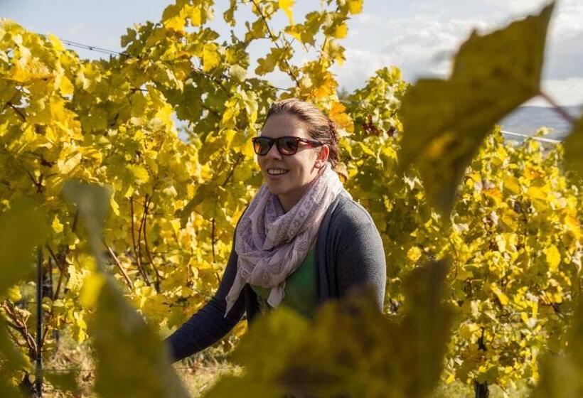 צימר Weinberghof Ilkerl Luf