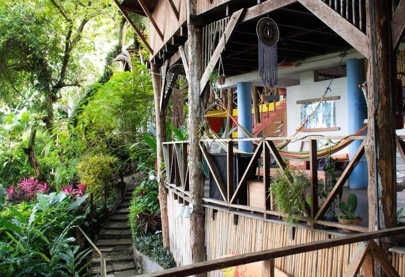 Hostel Plinio