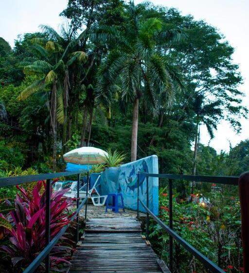 Hostel Plinio