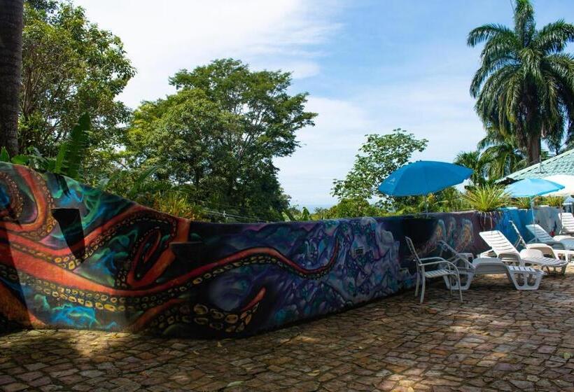 Hostel Plinio