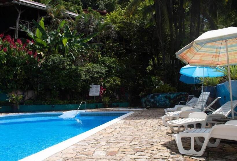 Hostel Plinio
