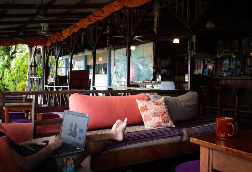 Hostel Plinio