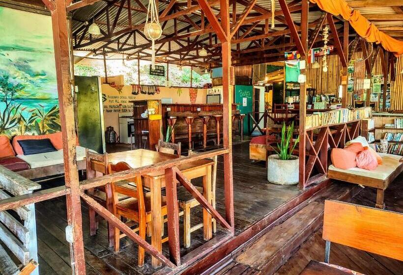 Hostel Plinio