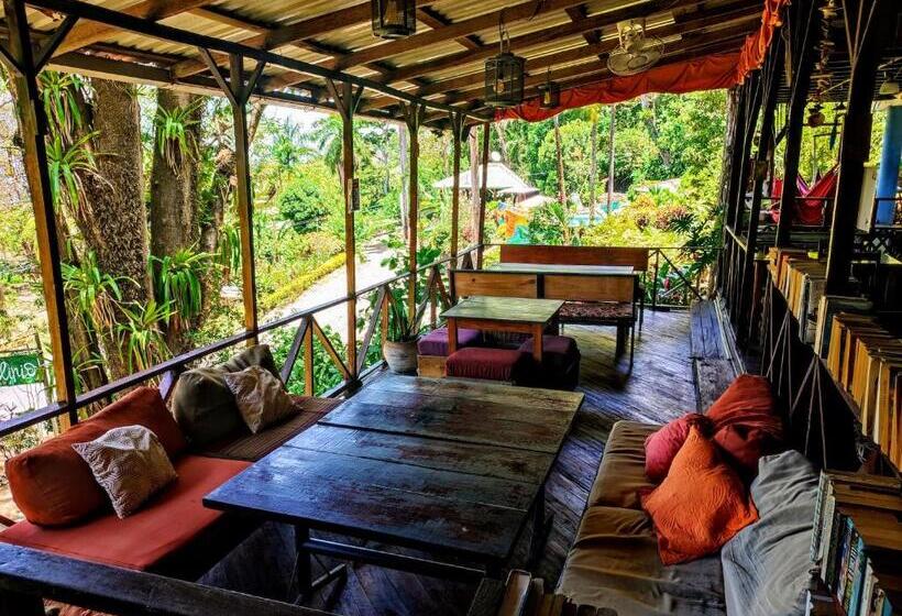Hostel Plinio
