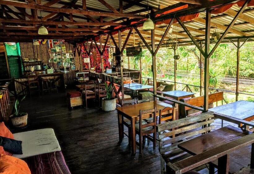 Hostel Plinio