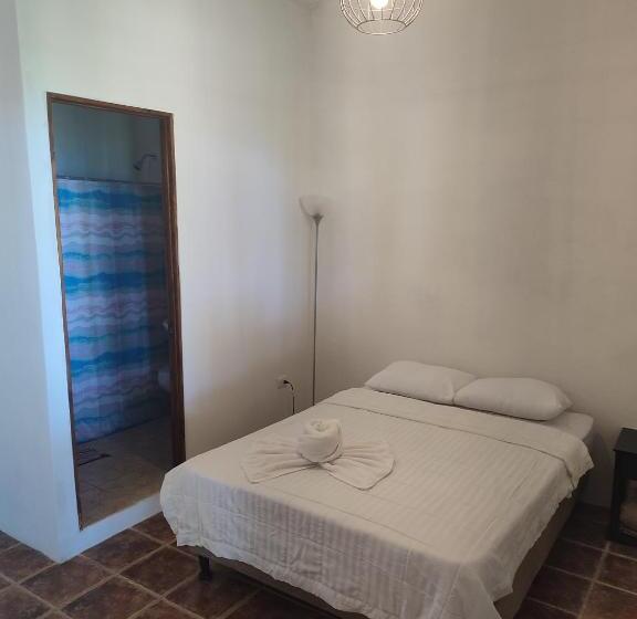 Hostel Plinio