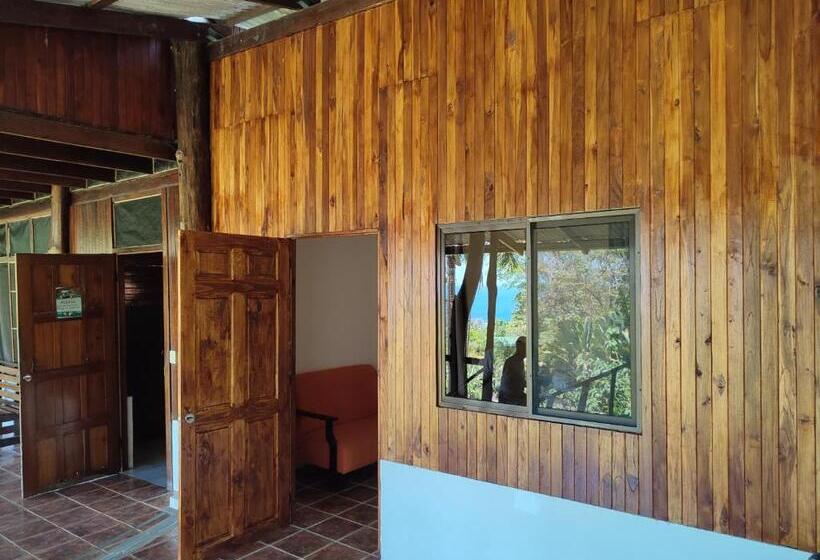 Hostel Plinio