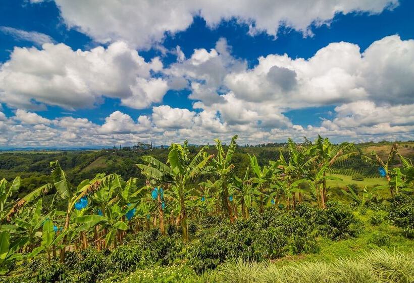 هتل Karlaká Calarcá Quindio   Eje Cafetero