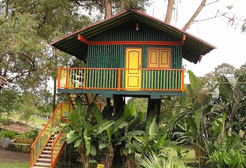 هتل Karlaká Calarcá Quindio   Eje Cafetero