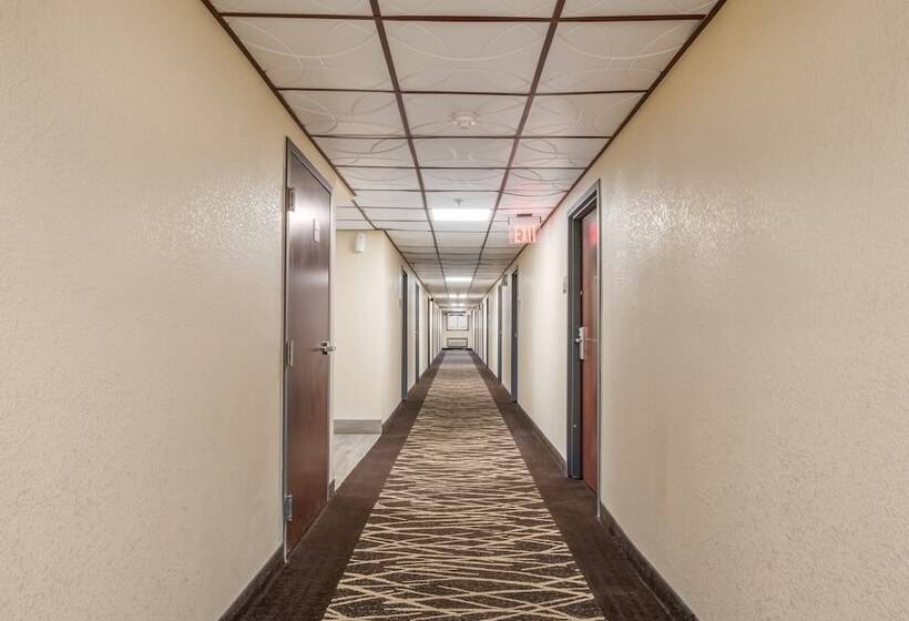 בית מלון כפרי Red Roof Inn Chicago  Alsip