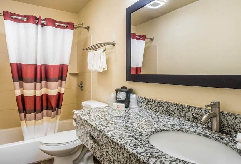 בית מלון כפרי Red Roof Inn Chicago  Alsip