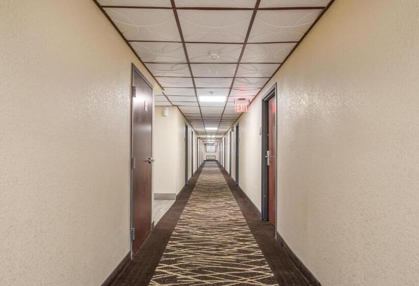 בית מלון כפרי Red Roof Inn Chicago  Alsip