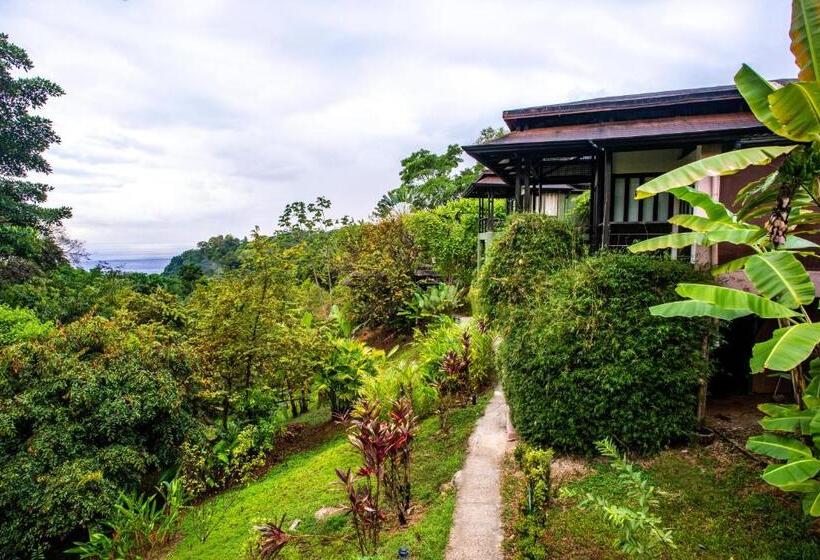בית מלון כפרי Tiki Villas Rainforest Lodge   Adults Only