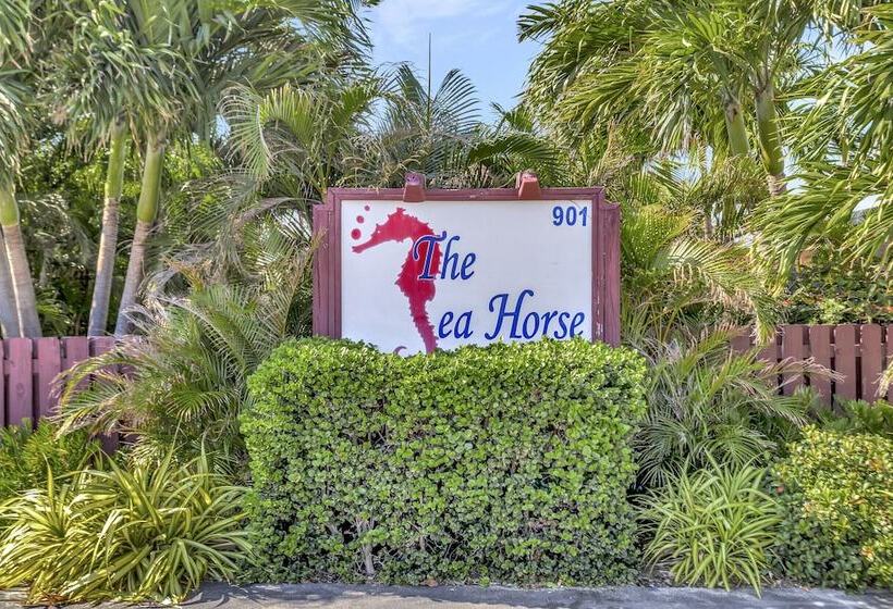 مُتل Seahorse Guesthouse