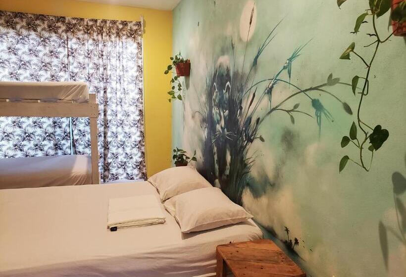 Tres Mundos Hostel