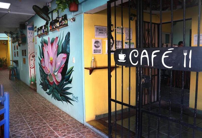 Tres Mundos Hostel