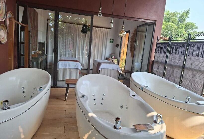 تختخواب و صبحانه Quinta Ascensión Hotel Boutique Only Adults