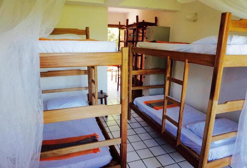 Novos Baianos Hostel E Pousada