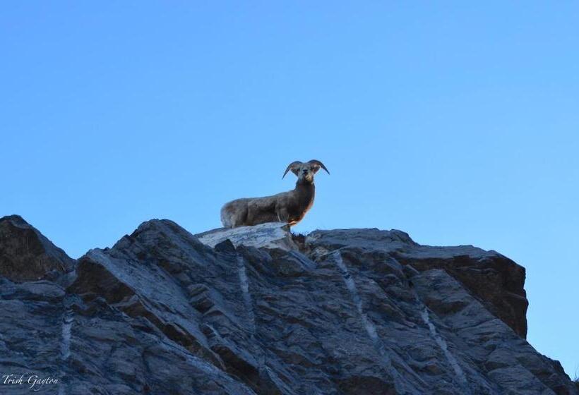 אתר נופש Prc Annex  Pet Friendly