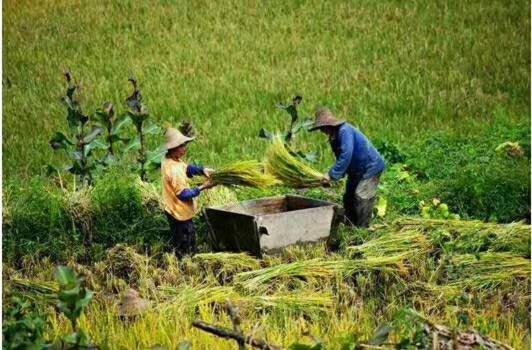 旅馆 Jacky's Guesthouse