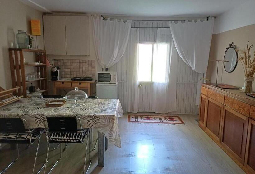 تختخواب و صبحانه Home Meditamondo