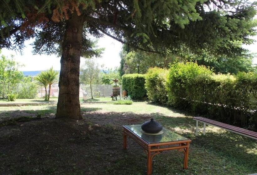 تختخواب و صبحانه Home Meditamondo