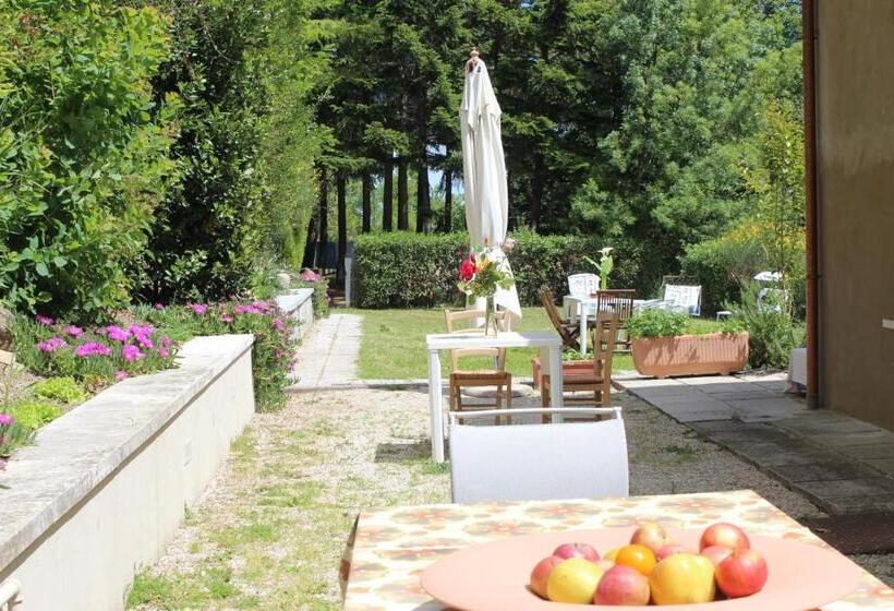 تختخواب و صبحانه Home Meditamondo