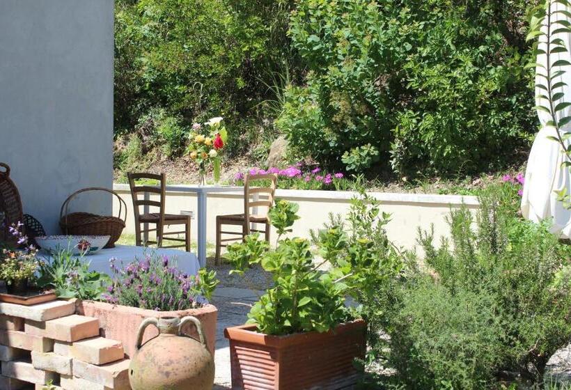 تختخواب و صبحانه Home Meditamondo