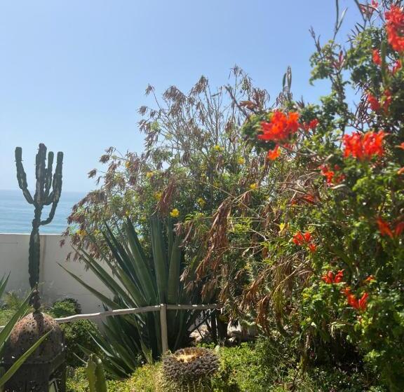 تختخواب و صبحانه Villa Jardin De L'ocean