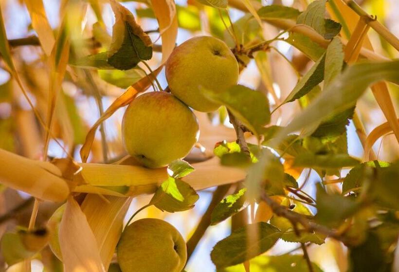 تختخواب و صبحانه Villa Pomme D'or