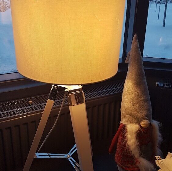 בית מלון כפרי Santa S Igloos Arctic Circle