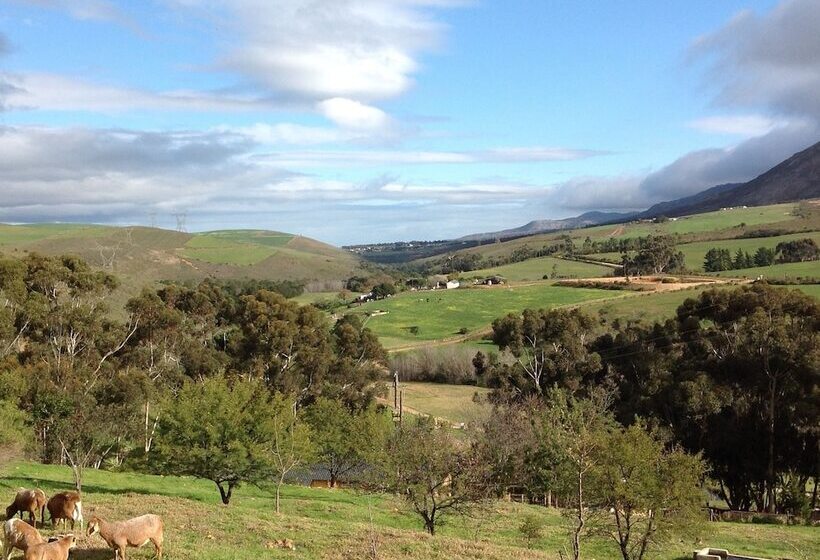 בית מלון כפרי Swaynekloof Farm