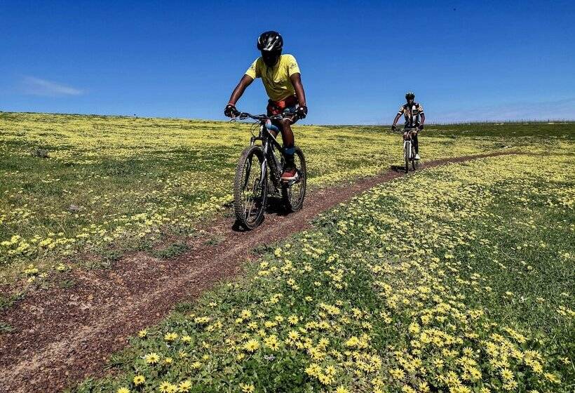 هتل Trail's End