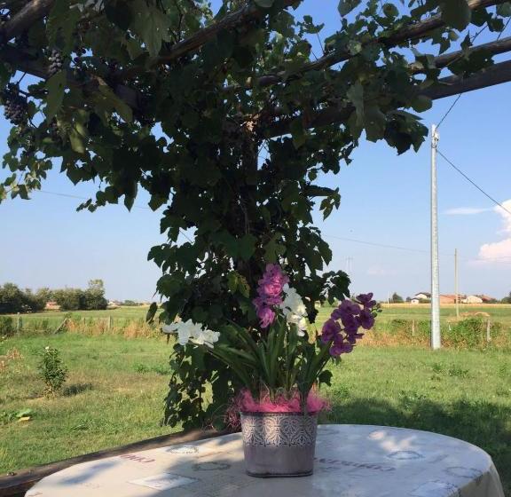 B & B La Ca  Di Massuc