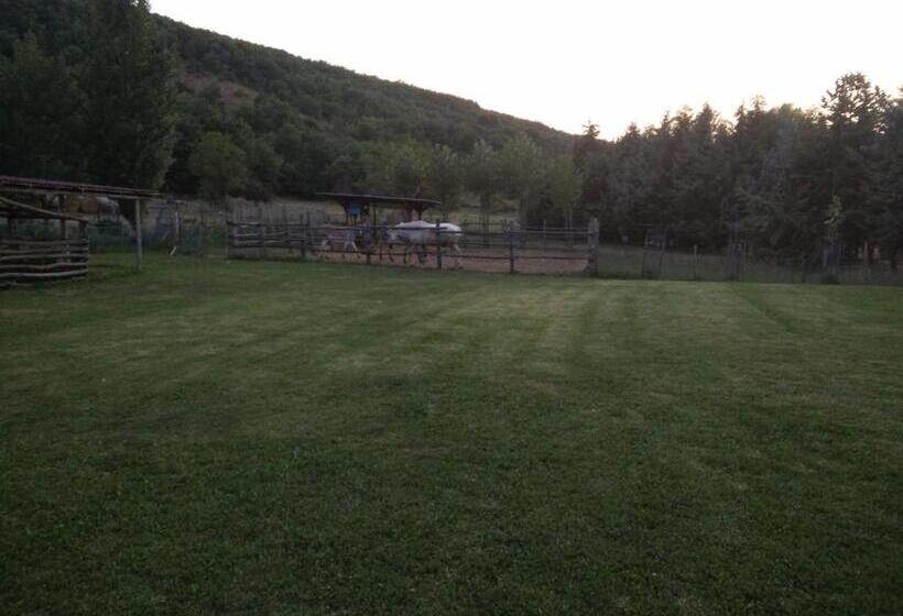تختخواب و صبحانه Il Giardinaccio Agriturismo