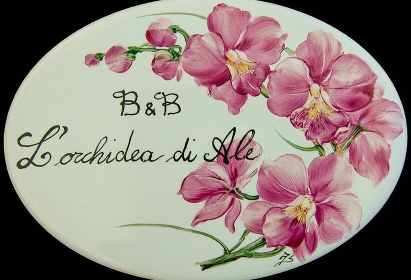 Bed and Breakfast L Orchidea Di Ale
