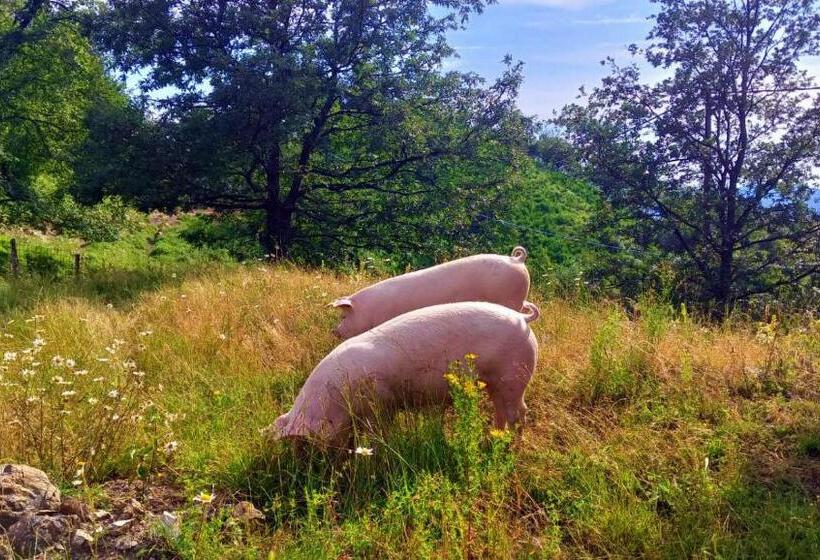 민박 Terra Del Bosco Agriturismo