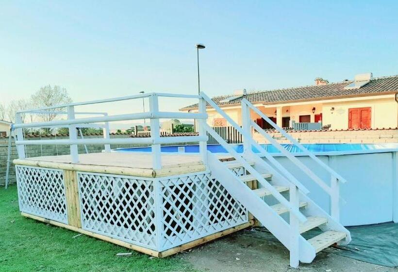 Elegance B&b