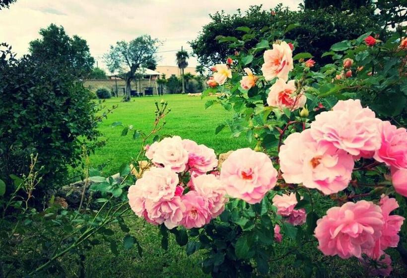 Elegance B&b