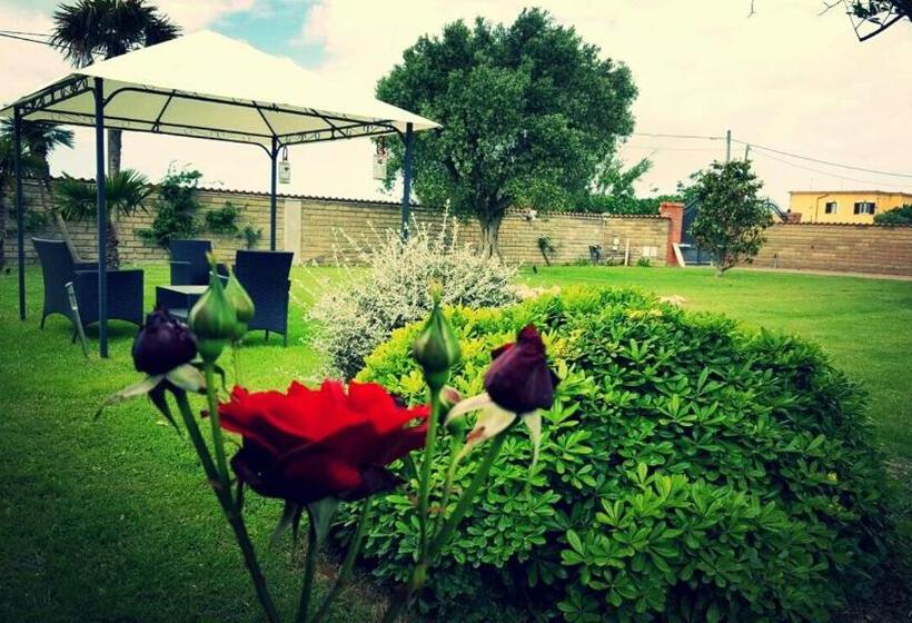 Elegance B&b